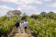 Luxury private touring with Small Batch - A Truly Barossan Wine Experience ex Barossa - Private - EXBV Small Batch Wine Tours