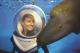 Seawalker 
 - Reef & Island Full Day Tour + Turtle Talk Sunlover Reef Cruises