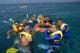 Guided snorkel tour
 - Reef & Island Full Day Tour + Turtle Talk Sunlover Reef Cruises