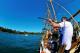 Sydney City Centre Tours, Cruises, Sightseeing and Touring - 1.5-Hour Twilight Dinner Cruise