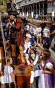 Mutiny! Pineapple's Pirates
 - 1.5-Hour Twilight Dinner Cruise Sydney Harbour Tall Ships