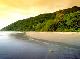 Cairns/Tropical Nth Accommodation, Hotels and Apartments - Ferntree Rainforest Lodge