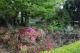 Gardens
 - Leura Gardens Resort