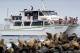 Phillip Is./Gipps Sth Tours, Cruises, Sightseeing and Touring - Cape Cruise
