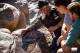 Cultural tours
 - Discovery Resorts â Wilpena Pound