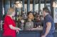 Lodge Bar  - Yarra Valley Lodge