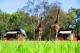 Dubbo Accommodation, Hotels and Apartments - Zoofari Lodge